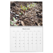 Calendrier 2012 de jardin (Mar 2026)