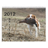 Calendrier 2012 de la Bretagne (Protection)