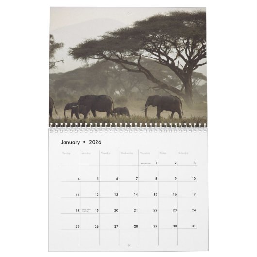 Calendrier 2012 de nature (Jan 2026)