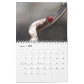 Calendrier 2012 de photo (Mar 2027)