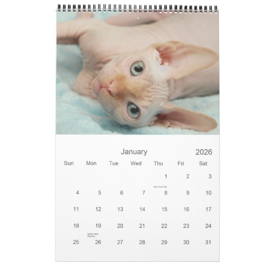 Calendrier 2012 de Sphynx (Jan 2026)