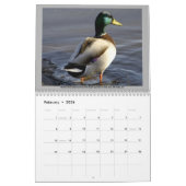 CALENDRIER 2012 D'OISEAU (Feb 2026)