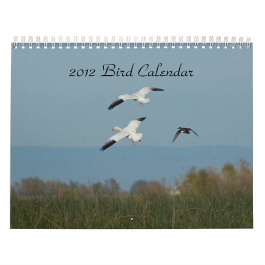 CALENDRIER 2012 D'OISEAU (Protection)
