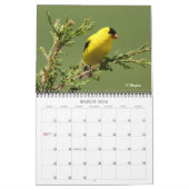 Calendrier 2012 d'oiseaux de chanson de Wingpics (Mar 2026)