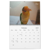 Calendrier 2012 fou de caïque (Feb 2027)