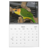 Calendrier 2012 fou de caïque (Mar 2027)