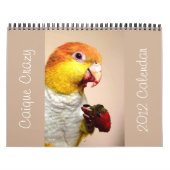 Calendrier 2012 fou de caïque (Protection)