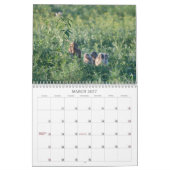 Calendrier 2012 hiboux creusants (Mar 2027)