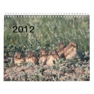 Calendrier 2012 hiboux creusants
