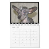 calendrier 2012 pour chiens sans cheveux (Mar 2026)