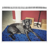 Calendrier 2012 van SundayStyle Edition (Protection)