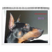 Calendrier 2013. (Protection)