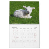 CALENDRIER 2013 (Feb 2026)