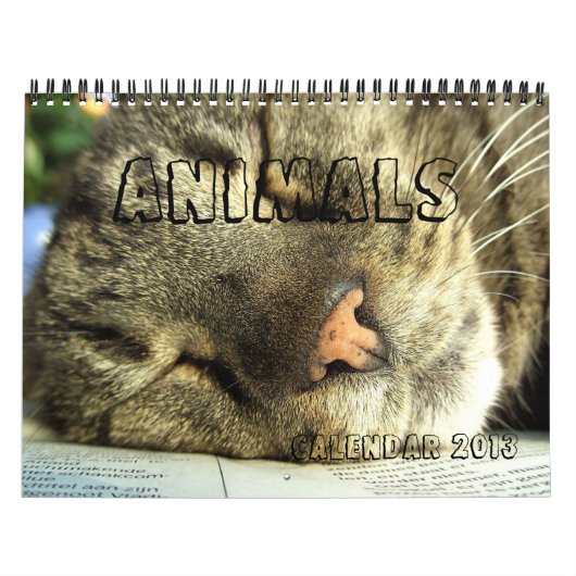 Calendrier 2013 - Animaux (Protection)