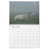 Calendrier 2013 - Animaux (Jan 2026)