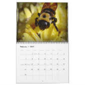 Calendrier 2013 - Belle Abeille, Soyez Inspiré (Feb 2027)