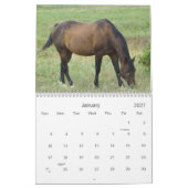 Calendrier 2013 Chevaux de campagne (Jan 2027)