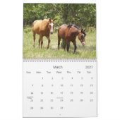 Calendrier 2013 Chevaux de campagne (Mar 2027)
