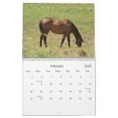 Calendrier 2013 Chevaux de campagne (Feb 2026)