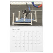 Calendrier 2013 chiens sur la course (Mar 2026)