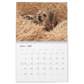 Calendrier 2013 d'Assoc de chasse à grange (Mar 2027)