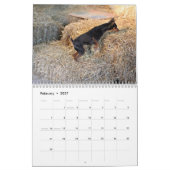 Calendrier 2013 d'Assoc de chasse à grange (Feb 2027)