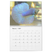 Calendrier 2013 de Betta de demi-lune par Mac (Feb 2027)