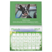 Calendrier 2013 de Boston Terrier (Mar 2027)