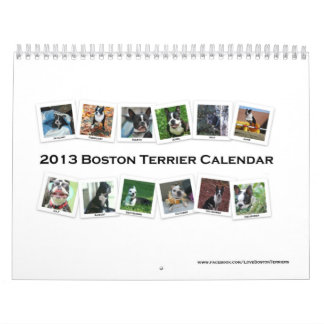 Calendrier 2013 de Boston Terrier