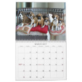 Calendrier 2013 de boxeur (Mar 2027)