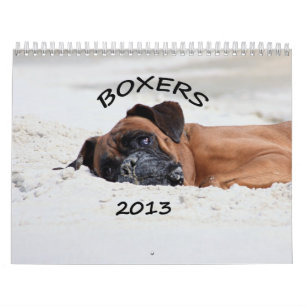 Calendrier 2013 de boxeur