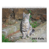 Calendrier 2013 de chat (Protection)