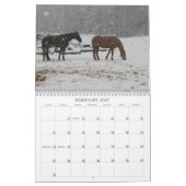 Calendrier 2013 de cheval de montagne (Feb 2027)