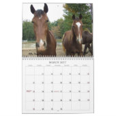 Calendrier 2013 de cheval de montagne (Mar 2027)