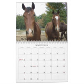 Calendrier 2013 de cheval de montagne (Mar 2026)