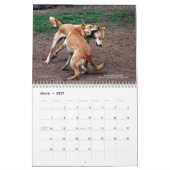 Calendrier 2013 de chien de la Caroline (Mar 2027)