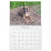 Calendrier 2013 de chiot de boxeur (Mar 2026)