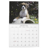 Calendrier 2013 de chiot de boxeur (Jan 2026)
