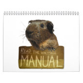 Calendrier 2013 de cobaye (Protection)