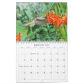 Calendrier 2013 de colibri (Feb 2027)