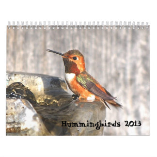 Calendrier 2013 de colibri