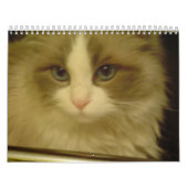 Calendrier 2013 de compte à rebours (Protection)