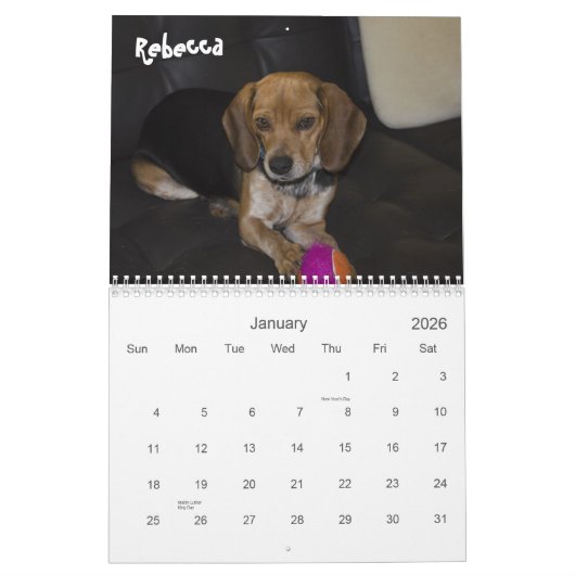Calendrier 2013 de délivrance de beagle d'Atlanta (Jan 2026)