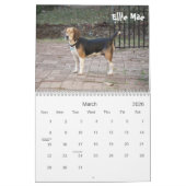 Calendrier 2013 de délivrance de beagle d'Atlanta (Mar 2026)