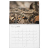 CALENDRIER 2013 DE FAUNE PAR DES PHOTOS DE MAYES (Feb 2026)