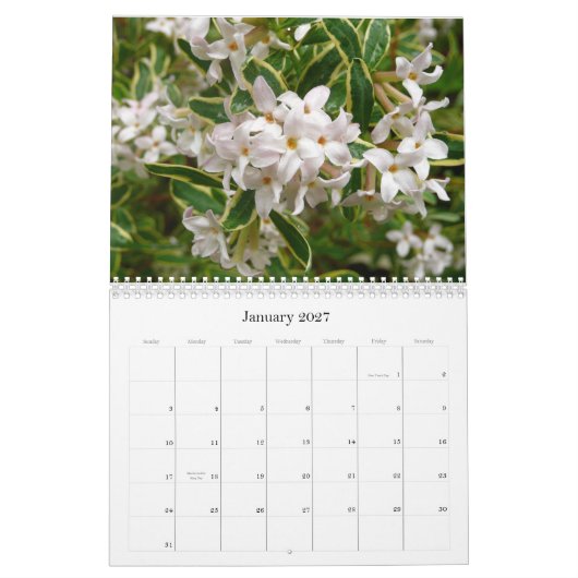 Calendrier 2013 de fleur (Jan 2027)