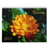Calendrier 2013 de fleur (Protection)