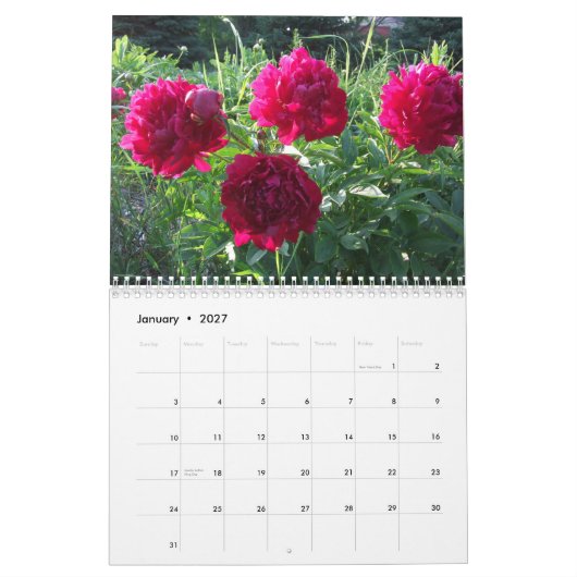 Calendrier 2013 de fleur de pivoines (Jan 2027)