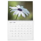 CALENDRIER 2013 DE FLORA PAR DES PHOTOS DE MAYES (Mar 2027)