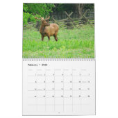 Calendrier 2013 de Great Smoky Mountains (Feb 2026)